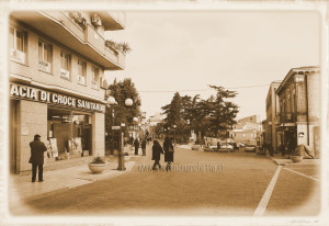 Farmacia Di Croce 1958-2008