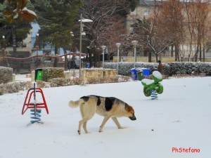 Giochi nella neve.