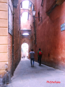 “Piazza Campo dei Fiori”4