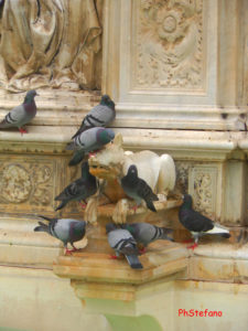 “Piazza Campo dei Fiori”1